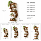 Branch Wood Kitchen Shelf – Solid Wood Wall Mounted Display Shelf for Kitchen Decor