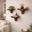Small Organic Wooden Floating Wall Shelves – Sculptural Display Set