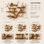Tree Branch Wall Shelf – Solid Wood Display Shelf for Living Room