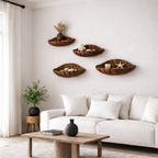 Shell-Inspired Solid Wood Floating Wall Shelves – Sculptural Display