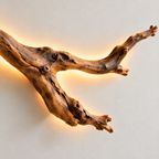 Backlit Natural Branch Wood Wall Light