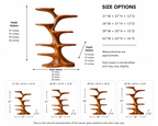 Tree Branch Wood Bookshelf – Solid Wood Display Shelf for Living Room Decor